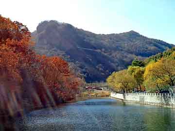 天天彩好彩天天免费，溶剂油